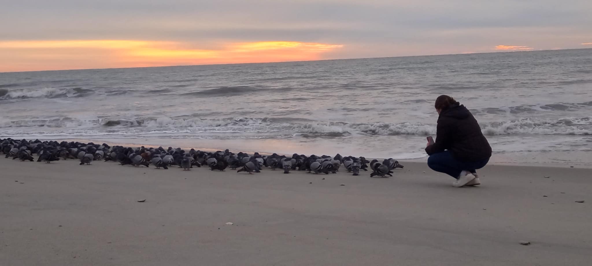 Photo of girl crouching down to take pictures of pigeons on the beach. A Bible verse overlays the photo. Matthew 6:22 says, "The eye is the lamp of the body; so if your eye is clear [spiritually perceptive], your whole body will be full of light [benefiting from God's precepts]".